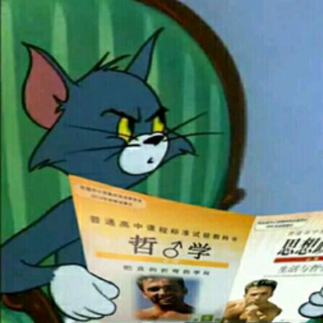 汤姆猫看书：哲♂学思想，王♂的思想