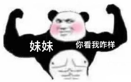 肌肉男熊猫头：妹妹，你看我咋样-熊猫头,肌肉男,装逼