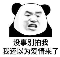 熊猫头生气：没事别拍我，我还以为爱情来了