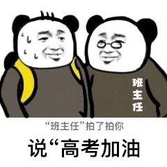 熊猫头班主任拍了拍你：高考加油-熊猫头,高考,拍一拍