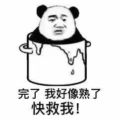 完了 我好像熟了，快救我-熊猫头,熟了,救我