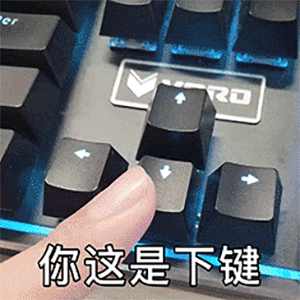 鼠标方向键_你这是下键（下贱）-暗示,骂人,恶搞