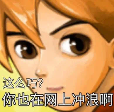 这么巧？你也在网上冲浪啊-搞笑,emoji