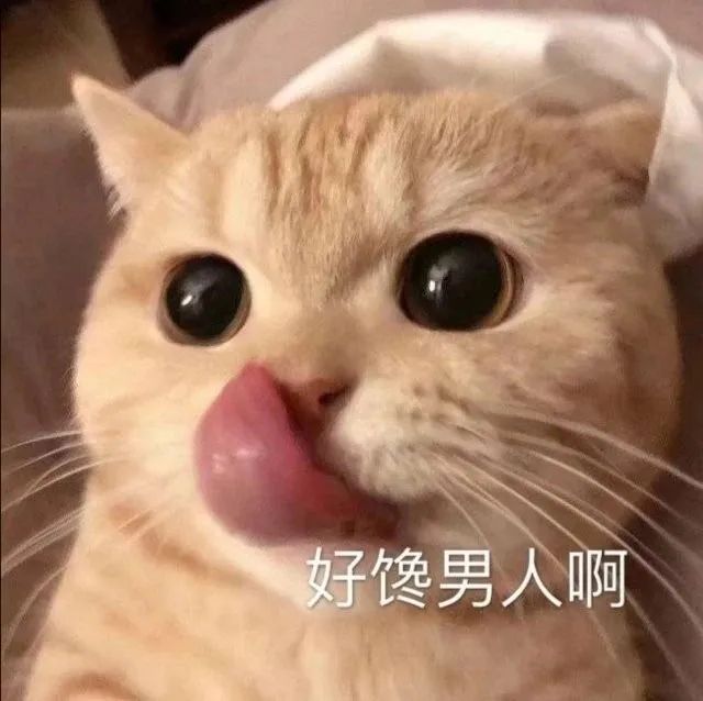 猫咪舔嘴：好馋男人啊