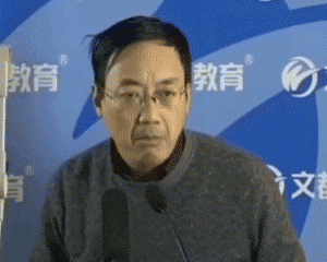 汤家凤：有点出息没有？-汤家凤,动图