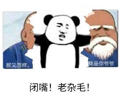 熊猫头手撕：用于反击我是你爷爷