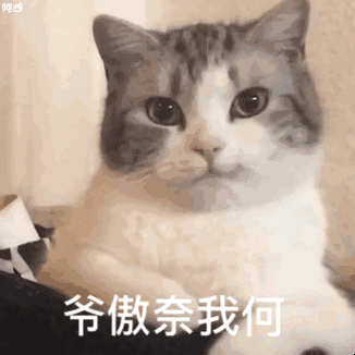 嘴角会扬起的可爱猫咪：爷傲奈我何