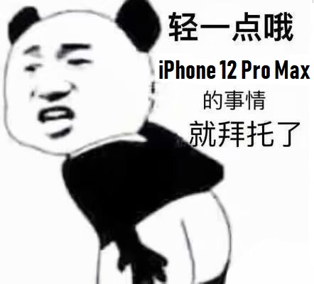 轻一点哦_iPhone_12_Pro_Max的事情就拜托了