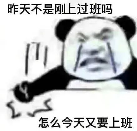 熊猫头流泪：怎么今天又要上班_昨天不是刚上过班吗