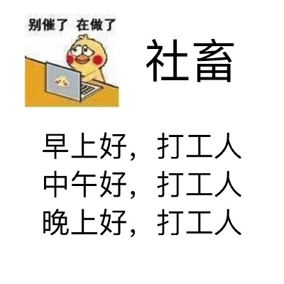 打工人社畜：别催了_在做了-打工,上班