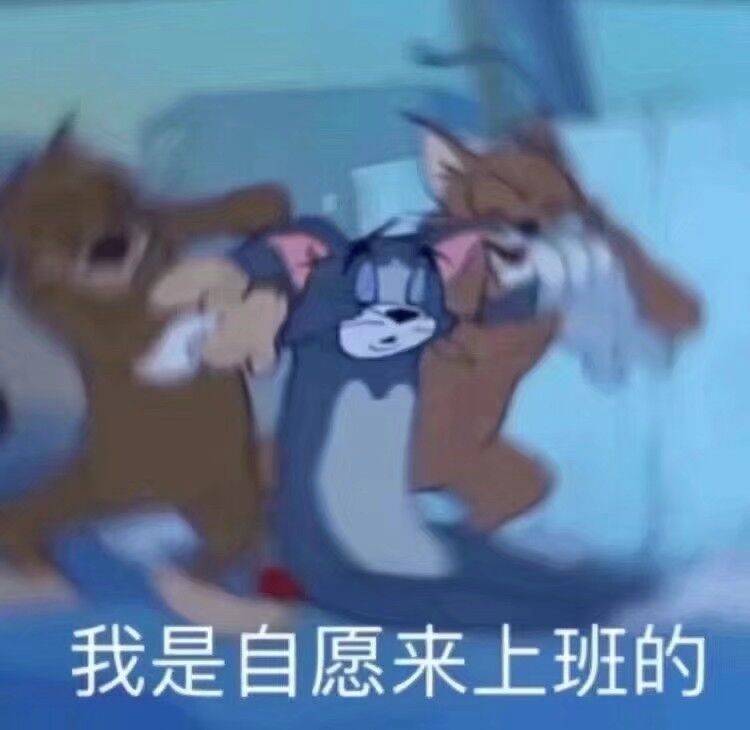 还在睡梦中的汤姆猫：我是自愿上班的-汤姆,猫和老鼠,上班