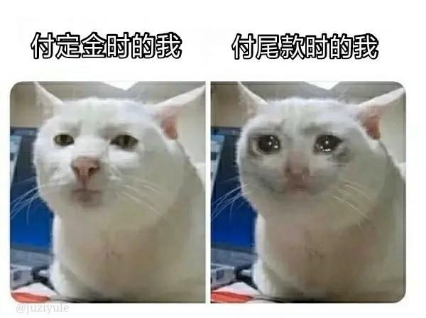 流泪伤心猫：双十一付定金时的你_付尾款的你