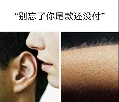 鸡皮疙瘩：别忘了你尾款还没付！