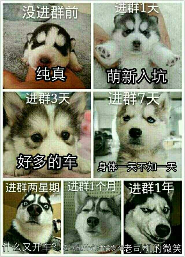 纯真-萌新入坑-好多的车-身体一天不如一天-什么又开车-老司机什么时候发车-老司机的微笑