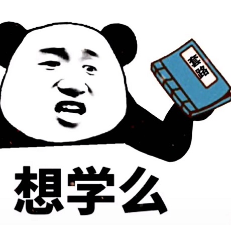 熊猫头拿着一本《套路》：想学吗