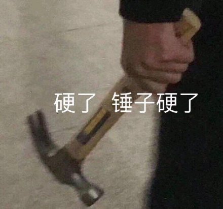 拿着一把锤子：硬了_锤子?硬了
