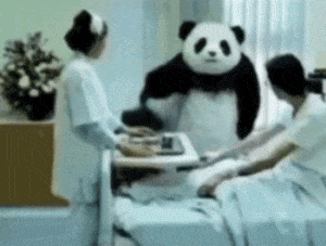 熊猫头拔掉吊水：别治了别治了_给爷死-给爷死,恶搞,gif,动图