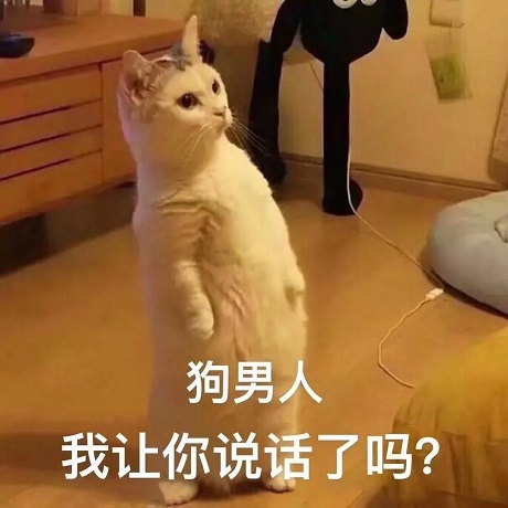 猫咪：狗男人_我让你说话了吗-猫咪,男人,狗