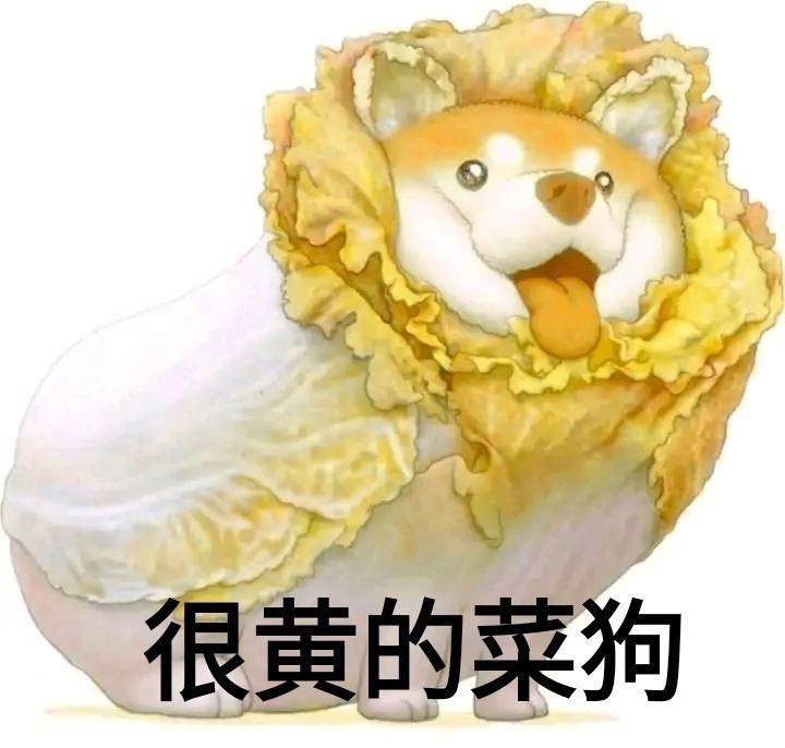 白菜裹着狗：很黄的菜狗-狗,菜狗,暗示