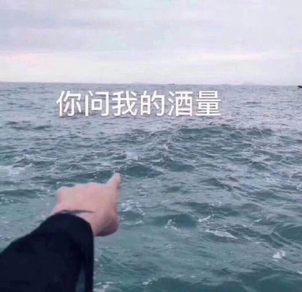 你问我的酒量_我指了指大海-装逼,酒量