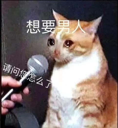 采访哭哭猫：请问你怎么了。想要男人
