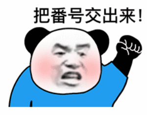 穿着蓝色衣服的熊猫头挥拳：把番号交出来-熊猫头,番号,ばんごう