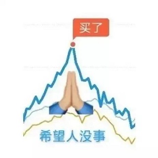 基金买在了最高点_追涨_然后暴跌_双手合十祈祷希望人没事