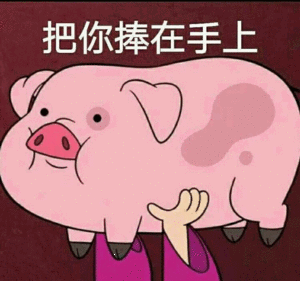 把你捧在手上-猪