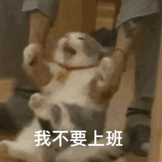 猫咪被拖着走GIF动图：我不想上班