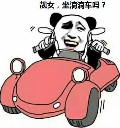 靓女 坐滴滴车吗-滴滴,熊猫头