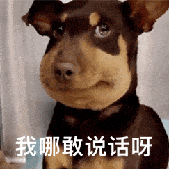 被蜜蜂蛰了的狗：我哪敢说话啊GIF动图-被蜜蜂蛰的狗表情包,被蜜蜂叮肿的那只狗表情包