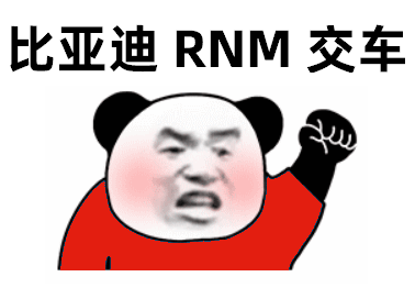 [高清]熊猫头生气的挥拳：比亚迪_RNM_交车-比亚迪交车专用表情包