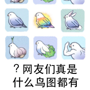 网友们真是什么鸟图都有-鸟图表情包