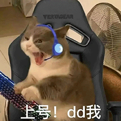 小猫咪戴着耳机大吼：上号dd我-上线开黑表情包