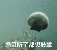 扇贝听了都想鼓掌-扇贝,gif,动图