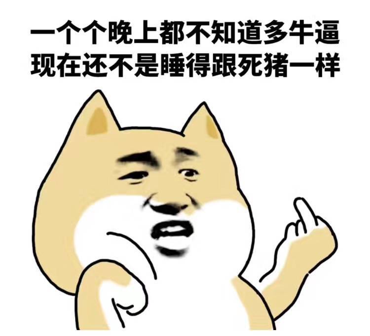 一个个晚上都不知道多牛逼，现在还不是睡得跟死猪一样-柴犬,嘲讽