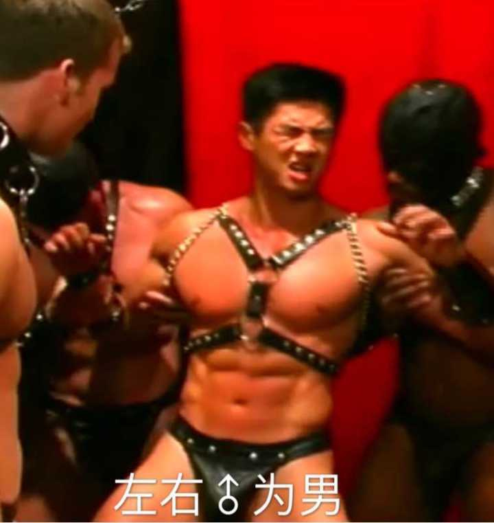 van：左右♂为男-van,平家boy