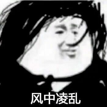 熊猫头：风中凌乱-熊猫头