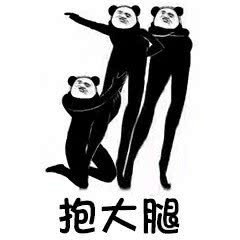 长腿熊猫抱大腿-熊猫头