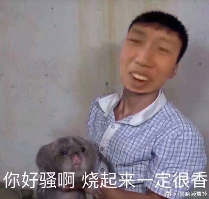 你好骚啊 烧起来一定很香-竹鼠