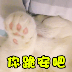 可爱猫咪：你跪安吧-猫咪,gif,动图,跪安