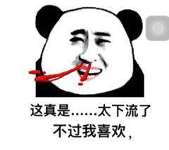熊猫头流着鼻血：这真是。。太下流了，不过我喜欢