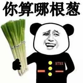 熊猫头拿着葱：你算哪根葱-熊猫头,葱
