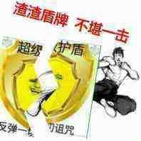 渣渣盾牌 不堪一击-盾牌