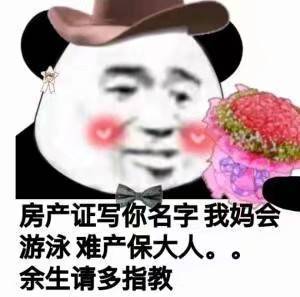 熊猫头结婚：房产证写你名字 我妈会游泳 难产保大人。。余生请多指教