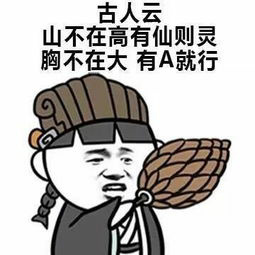 古人云：山不在高有仙则灵，胸不在大 有A就行-装逼,搞笑,孔明