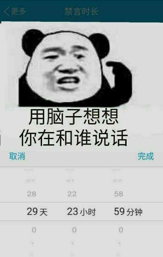 熊猫头：用脑子想想你在和谁说话（禁言）