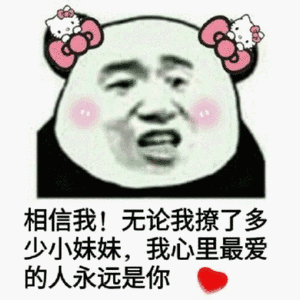 熊猫头：相信我！无论我撩了多少小妹妹，我心里最爱的人永远是你-熊猫头,搞笑,装逼