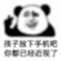 模糊版熊猫头：孩子放下手机吧，你都已经近视了-熊猫头,搞笑,装逼