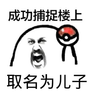 精灵球：成功捕捉楼上，取名为儿子-装逼,搞笑